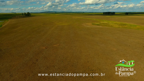 DOS EÓLICOS VIRA P FAZENDA_Moment.00_01_17_16.Quadro176_f5305b2584a6b38320fc2de2be5017404dc990b2.jpg